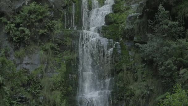 Przesuń w dół Erskine Falls — Wideo stockowe