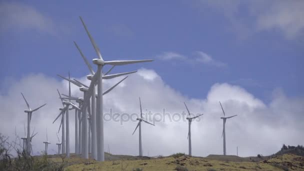 Maalaea, Maui Wind power turbine farm — Stock Video