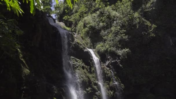 Pan down to tourists swiming in the Upper Waikani Falls — Stock Video