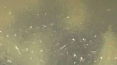 Derin kızarmış hamur içinde yağ kaynar suda sopalarla