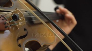 Müzisyen Keman çalmaya Close-Up