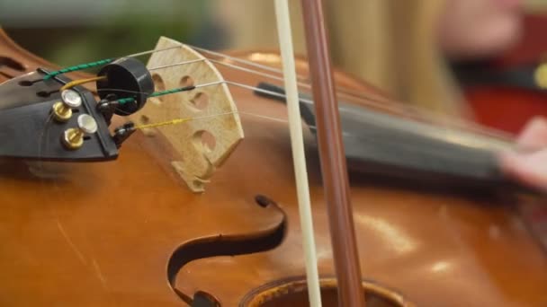 Close-up of musician playing at violin — Stock Video