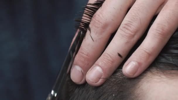 Fryzjer cięcia włosów w salonie fryzjerskim, zbliżenie — Wideo stockowe