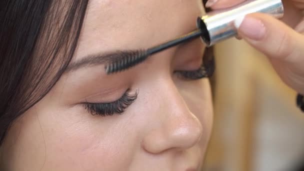 Makeup artist paints the eyebrows of the model in the Studio, close-up — Stock Video