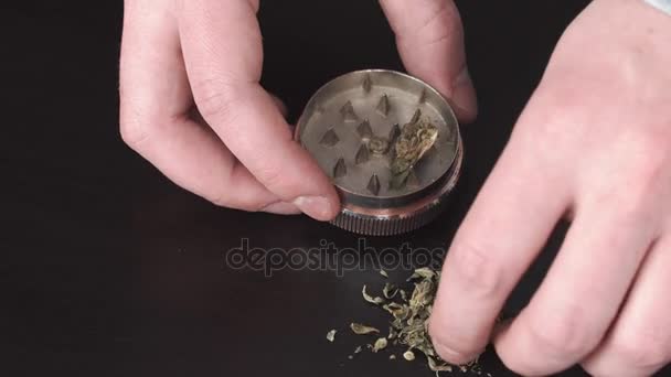 Медицинская марихуана на столе. Манская рука кладет марихуану в терку для измельчения травы — стоковое видео