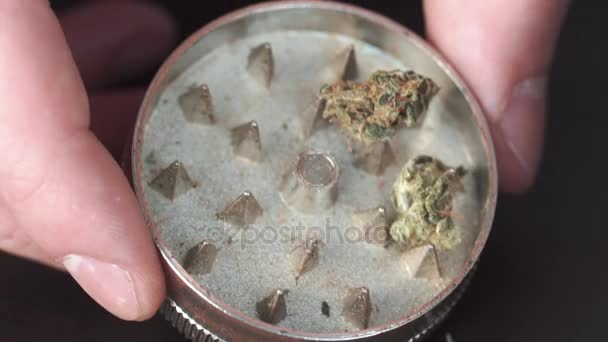 Marihuana medicinal sobre la mesa. Mans mano pone la marihuana en un molinillo de hierbas para moler — Vídeos de Stock