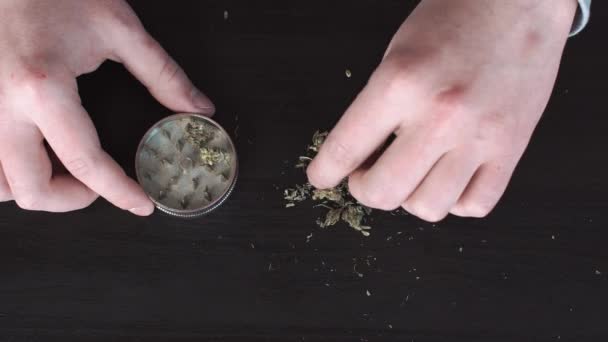 Medizinisches Marihuana auf dem Tisch. Mann legt Marihuana in Kräutermühle zum Mahlen — Stockvideo