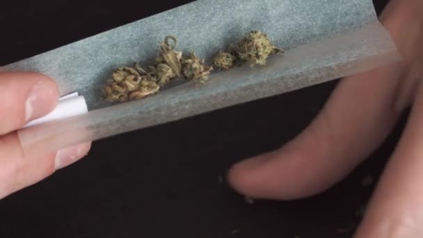 Las manos del hombre tuerce la marihuana en romo - El concepto de drogas ilícitas, consumo de drogas, primer plano — Vídeo de stock