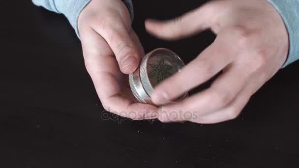 Man prepares tobacco for a roll-up — Stock Video