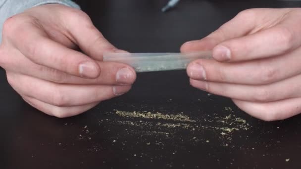 De handen van de man wendingen marihuana in Blunt - het concept van illegale Drugs, drugsgebruik, close-up — Stockvideo