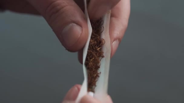 Mann bereitet Tabakrolle zu — Stockvideo