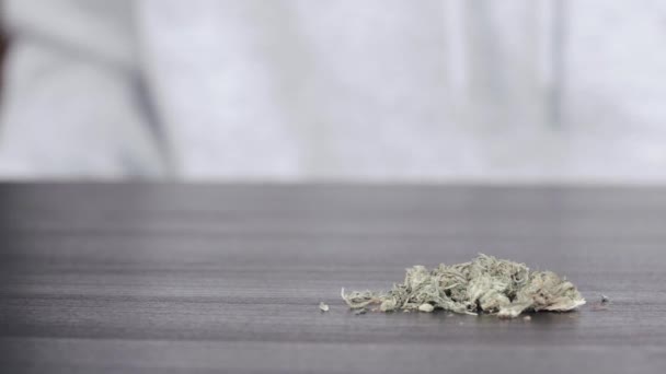 L'homme prépare le tabac pour un roll-up — Video