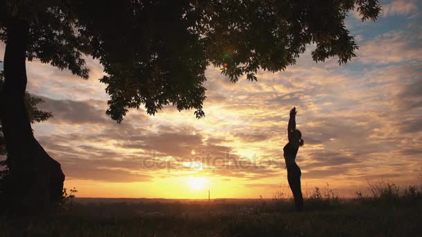 Silueta de una mujer practicando yoga al amanecer — Vídeos de Stock