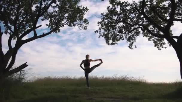 Молодая женщина практикует йогу на природе — стоковое видео