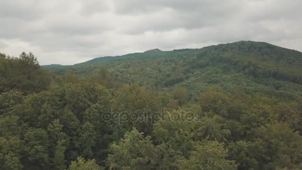 Luftaufnahme, die über grüne Baumwipfel dichten Waldes und über die Berge fliegt — Stockvideo