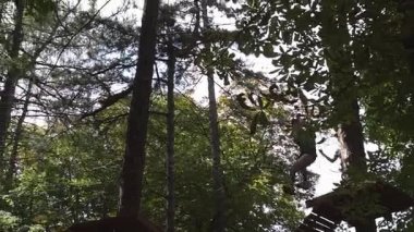 Adam eğlence parkı haline gider