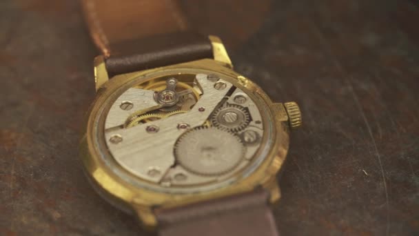 Close up van de schijf van het uurwerk in een stijlvol horloge — Stockvideo