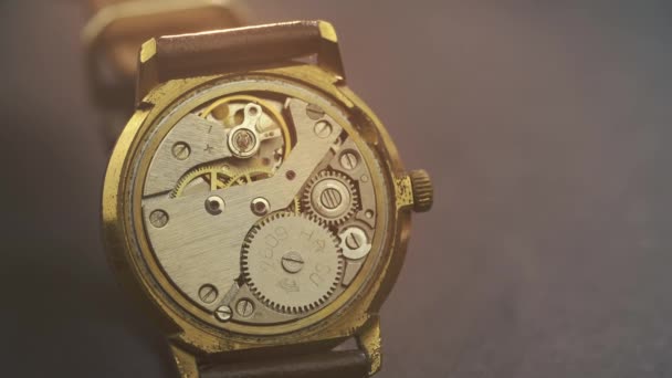 Gros plan sur le lecteur d'horloge dans une montre chic — Video