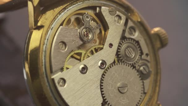 Nahaufnahme eines Uhrwerksantriebs in einer edlen Uhr — Stockvideo