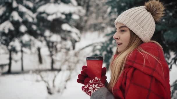 Young beautiful girl in in warm clothes standinh near the Christmas Trees in snow drinking hot beverage from the paper cup. Slow motion. Portrait of stylish young beautiful girl in a winter park — Stock Video