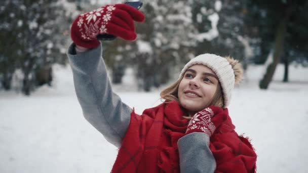 Beutiful Young Girl en el bosque nevado hace una selfie. En cámara lenta. Retrato de la joven y elegante hermosa chica en un parque de invierno — Vídeo de stock