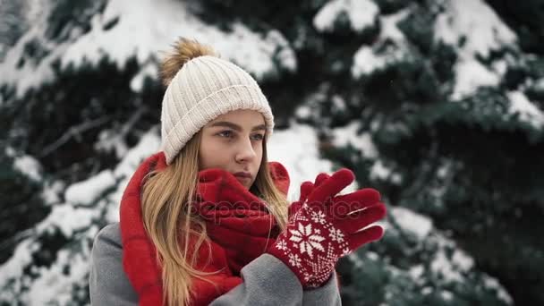 Menina bonita nova em roupas quentes em pé perto das árvores de Natal e mãos quentes. Movimento lento. Retrato de menina bonita elegante em um parque de inverno — Vídeo de Stock