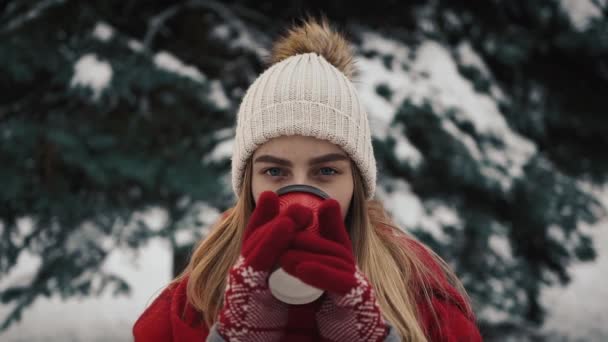 Menina bonita nova em roupas quentes standinh perto das árvores de Natal na neve e beber café da xícara de papel. Movimento lento. Retrato de menina bonita elegante em um parque de inverno — Vídeo de Stock