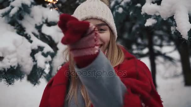 Hermosa chica con chispeante en invierno, las mujeres jóvenes en invierno en los bosques, la naturaleza de invierno, hermosa mujer joven de pie cerca del árbol de Navidad en el parque, fondo de mucha nieve — Vídeos de Stock