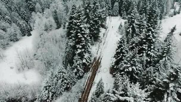 Tiro aéreo. Um homem com uma mochila vai subir a montanha no inverno. Observando do acima no caminho nevado — Vídeo de Stock