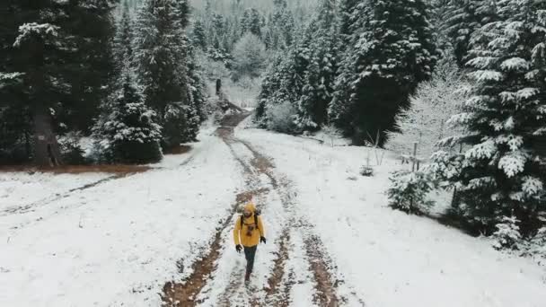 Αεροφωτογράφιση. Ένας άνδρας με ένα σακίδιο ανεβαίνει το βουνό το χειμώνα. Βλέποντας από τα παραπάνω στο χιονισμένο μονοπάτι — Αρχείο Βίντεο