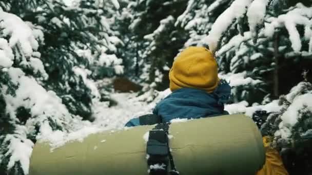 Человек ходит по холодному зимнему лесу, покрытому снегом — стоковое видео
