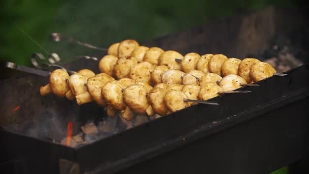 Delicious mushrooms get smoked on the grill — Stock Video