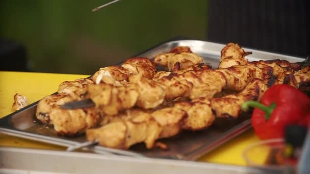 Delicious meat gets smoked on the grill — Stock Video