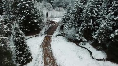 Havadan çekim. Orman dağların ortasında koşturup bir sırt çantası olan bir adam. Kış zamanı. Yukarıda karlı yolda izlerken