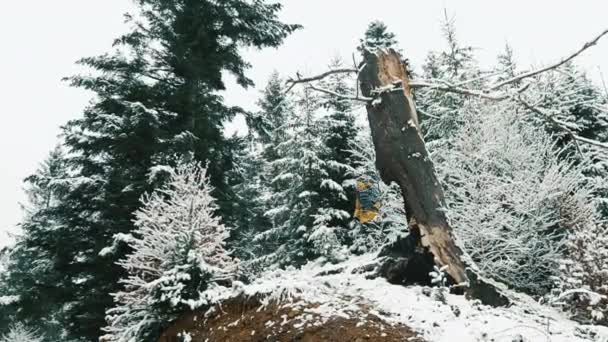 Man wandelingen over koude winter bos bedekt met sneeuw — Stockvideo