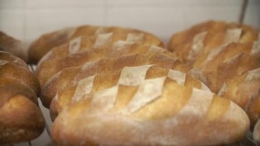 Ekmek fırınları. Satır taze ekmek loafs rafta yalan. Fırın ekmek işlemi. Gıda Sanayi ve üretim. Yakın çekim