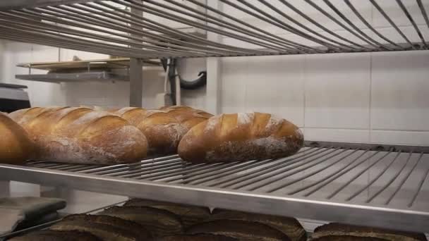 Человек кладет свежие хлебы на стальную полку в пекарне. — стоковое видео