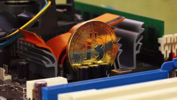 Golden bitcoin стоит на схеме компьютерного оборудования — стоковое видео