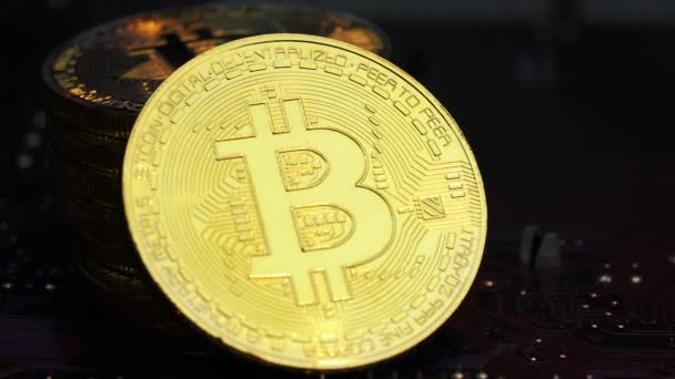 Gouden bitcoin staat op het schema van een computerhardware — Stockvideo