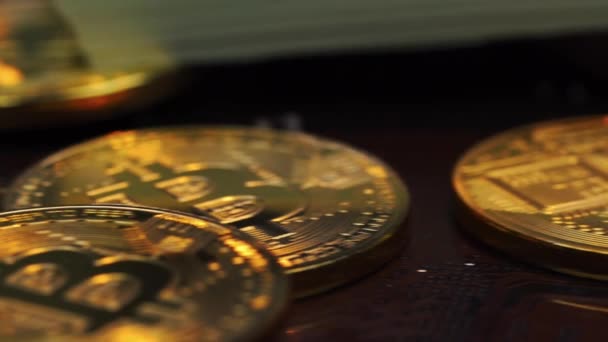 Golden Bitcoin terletak dengan dolar pada skema komputer pada perangkat keras — Stok Video