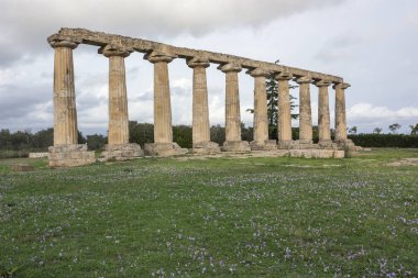Palatine tablolar, Hera Sanctuary Metaponto, Basilicata, İtalya