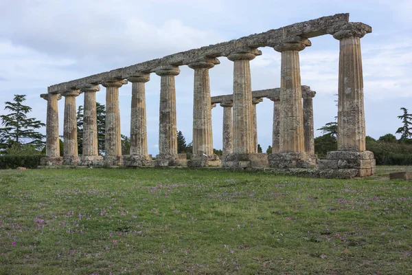 Palatinas, Santuário de Hera em Metaponto, Basilicata, Itália — Fotografia de Stock