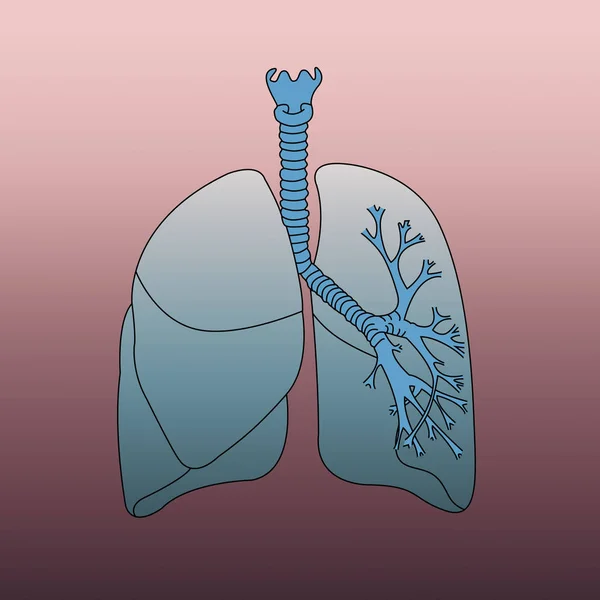 Infografica del sistema respiratorio su fondo rosso — Foto Stock