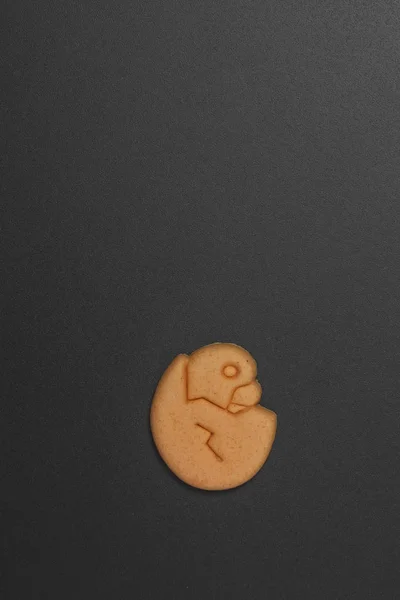 Galleta de perro sobre fondo negro — Foto de Stock