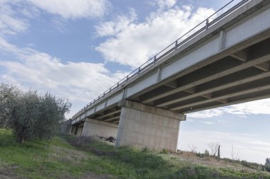 Bir zeytin ağacı alanına bakan köprü ve arka planda bir c