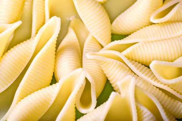 Traditionelle italienische conchiglioni rigati Pasta — Stockfoto
