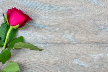 Çiçek çerçeve kenarlığı