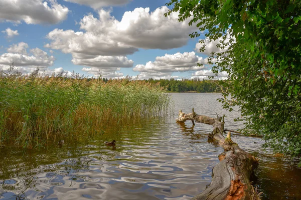 Blauer Himmel mit weißen Wolken am See in Polen — Stockfoto