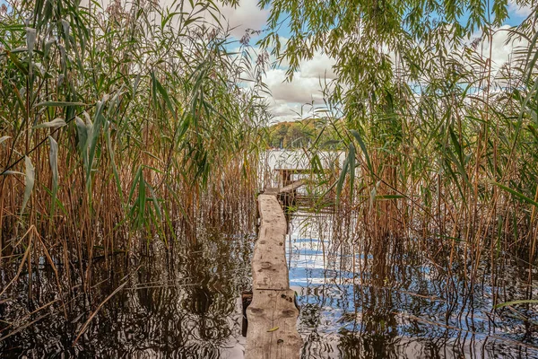 Promenade sur un lac avec roseau — Photo