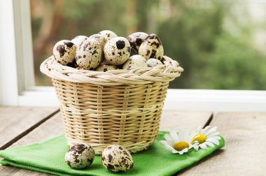 Sepette bıldırcın yumurtası